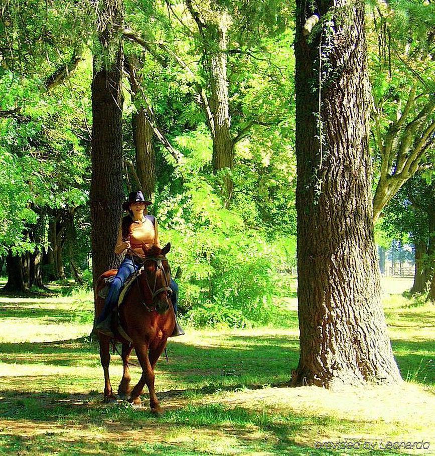 Estancia Monte Viejo Brandsen Luaran gambar